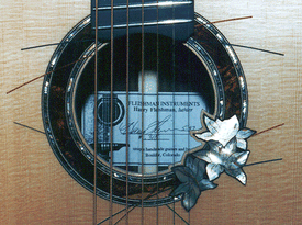 Close up of Harry Fleishman's guitar
